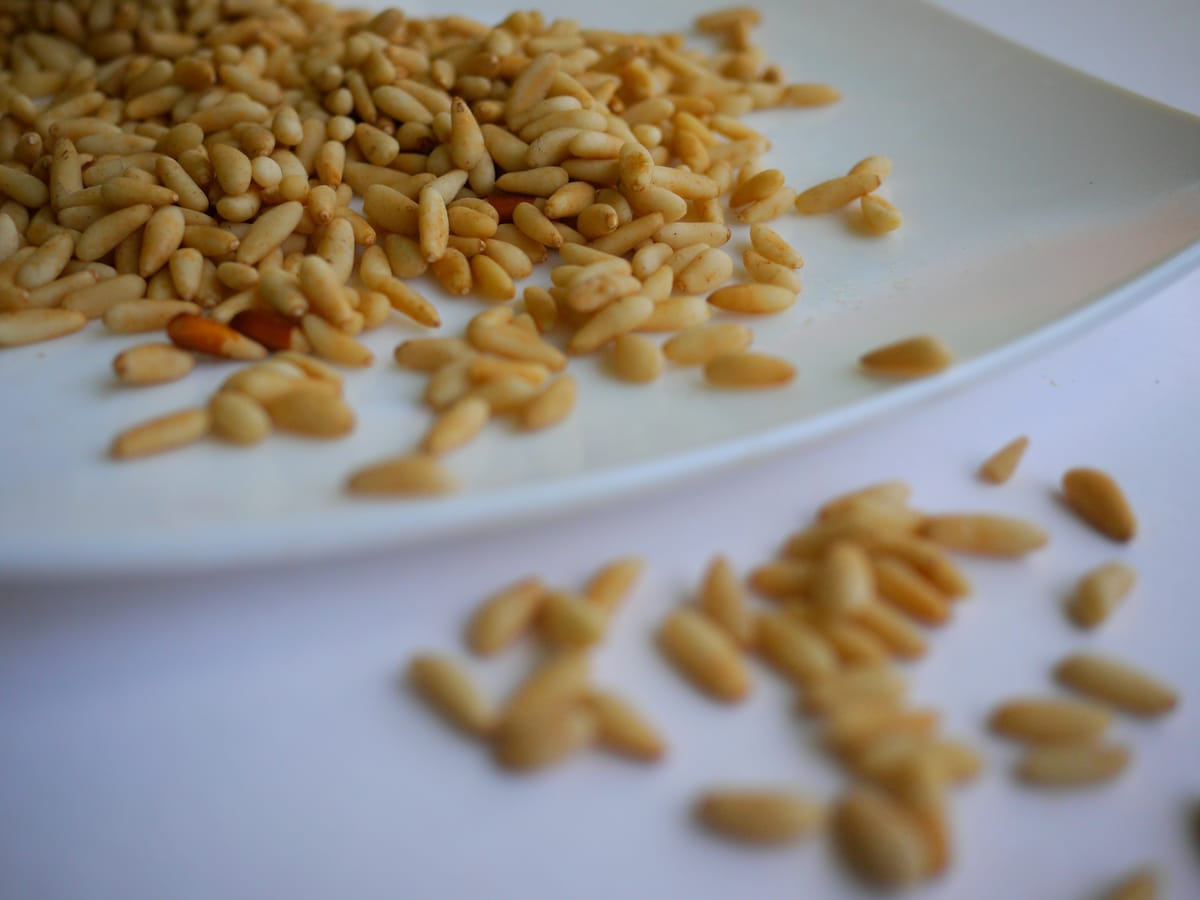 Can Georgia's Pine Nuts help address the World Food Shortage and Public Health Crisis?