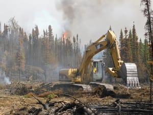 U.S. Fish and Wildlife Service Careers