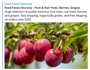 Turn Your Backyard into a Food Forest!